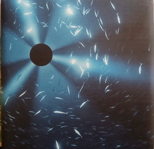Image of Front Cover of LP - NEW/NEW - LAUREL HALO, Midnight Zone (Original Soundtrack to the Film by Julian Charri re) (AWE; AWE3LP, Europe 2026, Gatefold, Booklet, Black Vinyl), ,  - 1116120C