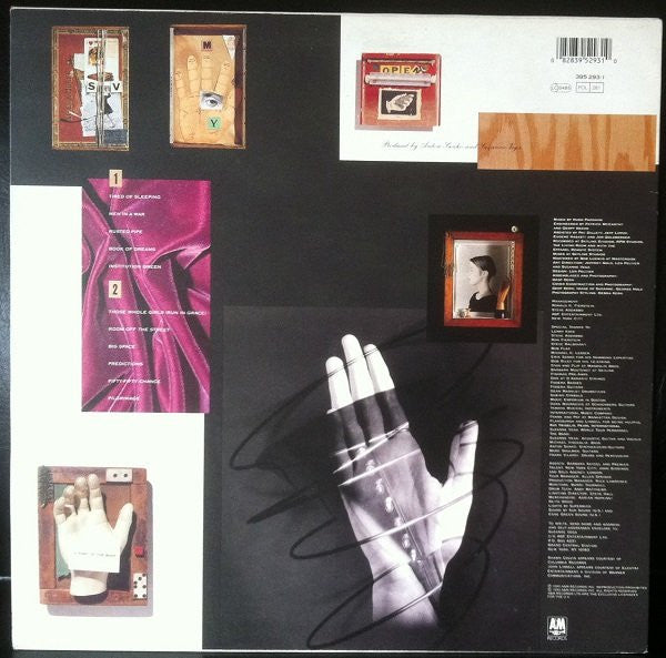 Image of Back Cover of LP - VG/VG+ - SUZANNE VEGA, Days Of Open Hand (A&M Records; 395 293-1, UK 1990, Inner), ,  - 0726427E