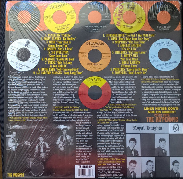 Image of Back Cover of LP - VG+/VG+ - VARIOUS, She's A Pest (18 Revved-Up Teen Swingers!) (Teenage Shutdown!; TS-6615 LP, US 2000), ,  - 0826025E
