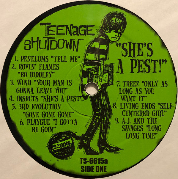 Image of Label Cover of LP - VG+/VG+ - VARIOUS, She's A Pest (18 Revved-Up Teen Swingers!) (Teenage Shutdown!; TS-6615 LP, US 2000), ,  - 0826025E