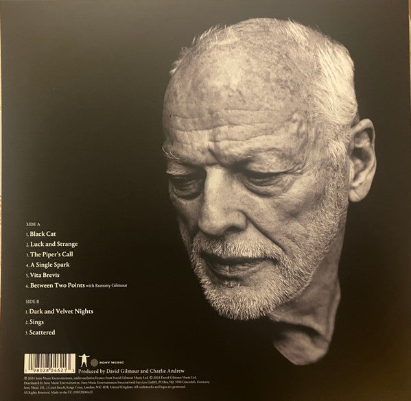 Image of Back Cover of LP - EX/EX - DAVID GILMOUR, Luck And Strange (Sony Music; 19802804621, UK & Europe 2024, Gatefold, Insert, Stereo, White, Alternative Cover), ,  - 0846117S