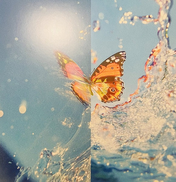 Image of Back Cover of 2xLP - NEW/NEW - DAPHNI, Butterfly (Jiaolong; JIAOLONG034CLP, Europe 2026, Gatefold, 2 Inners, Opaque Pink and White Vinyl), ,  - 0816256C