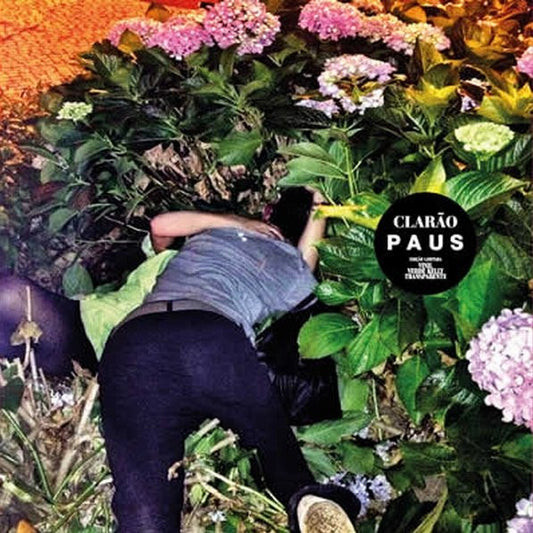 Image of Front Cover of 12" - EX/EX - PAUS, Clar o (Rastilho Records; RASTILHO102LP2014, Portugal 2014, Poster, Green Splatter Vinyl), ,  - 0826216E
