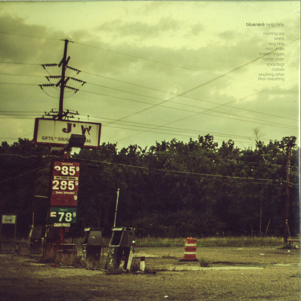 Image of Back Cover of 2xLP - VG+/EX - BLUENECK, King Nine (Denovali Records; den212, Germany 2014, Gatefold), ,  - 0826221E