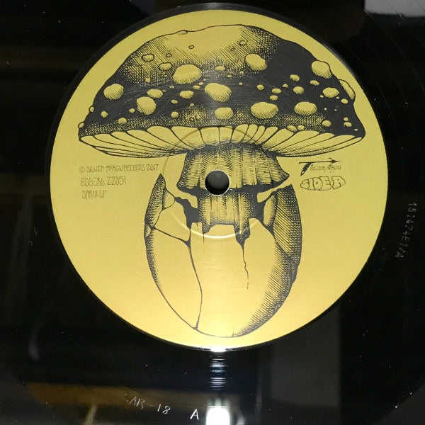 Image of Label Cover of 3xLP - VG/VG - CRB (THE CHRIS ROBINSON BROTHERHOOD), Betty's Self-Rising Southern Blends Vol. 3 (Silver Arrow  ; SAR18LP, Europe 2017, Triple Gatefold, 3 Inners, With Just CD Two), Missing CD One, Light marks/ Paper scuffs to discs, Light wear to sleeve,  - 0916115C