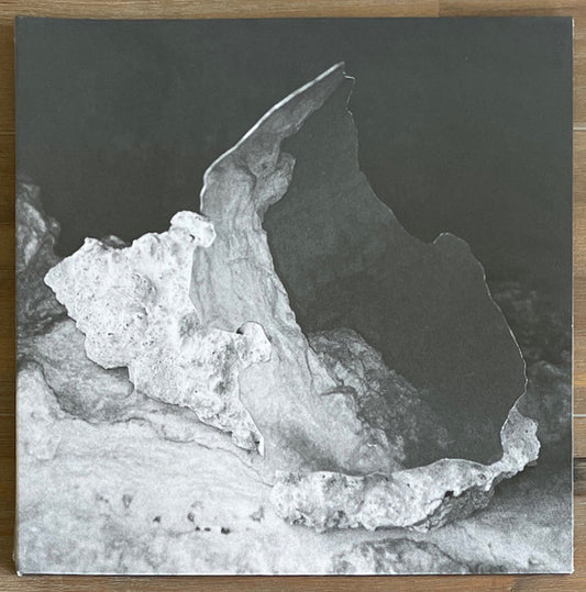 Image of Front Cover of 12" EP - VG+/VG - FLORA YIN WONG, The Sacrifice (First Light Records; US001, UK 2021, Gatefold), Storage marks, some very faint hairlines.,  - 0916149C