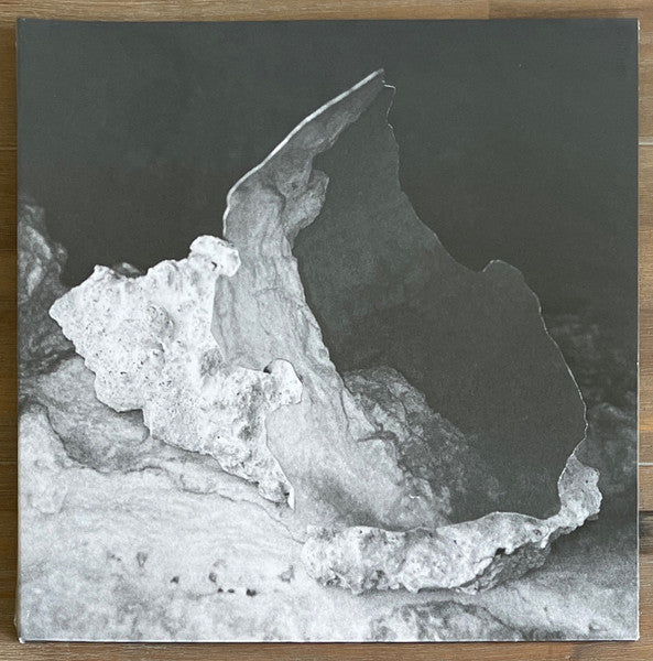 Image of Front Cover of 12" EP - VG/VG - FLORA YIN-WONG, The Sacrifice (First Light Records; US001, UK 2021, Gatefold), ,  - 2716230C