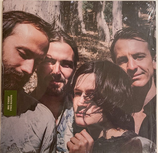 Image of Front Cover of LP - EX/EX - BIG THIEF, Two Hands (4AD ; 4AD0180LP, US 2019, Gatefold), Opened Instore, Still In Stickered Shrinkwrap,  - 0926176E