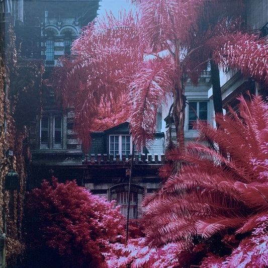 Image of Front Cover of LP - EX/VG+ - FOALS, Everything Not Saved Will Be Lost (Warner Bros. Records ; 0190295500900, Europe 2019, Book Sleeve, Two Prints. One Signed, With Etched 7", Violet Vinyl, Includes Part 2 On Orange Vinyl ), Part 1 Grades Strong VG, Part 2 And 7" Grade EX,  - 0926303E