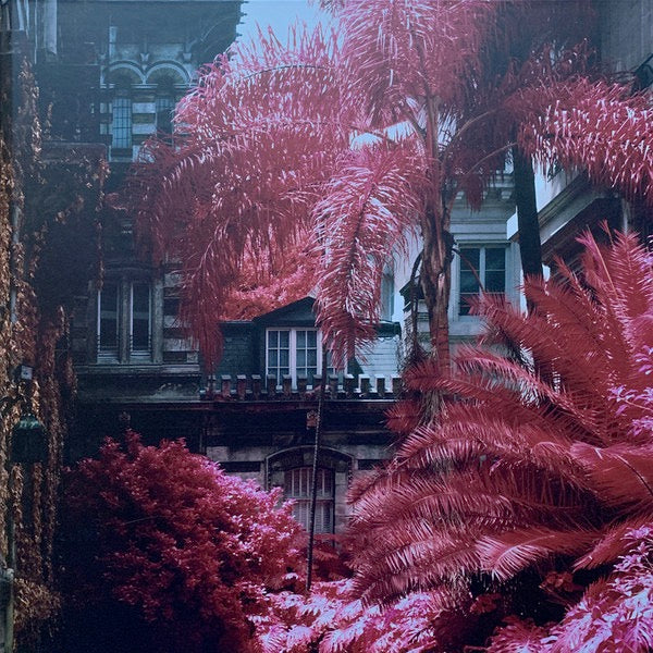 Image of Front Cover of LP - EX/VG+ - FOALS, Everything Not Saved Will Be Lost (Warner Bros. Records ; 0190295500900, Europe 2019, Book Sleeve, Two Prints. One Signed, With Etched 7", Violet Vinyl, Includes Part 2 On Orange Vinyl ), Part 1 Grades Strong VG, Part 2 And 7" Grade EX,  - 0926303E
