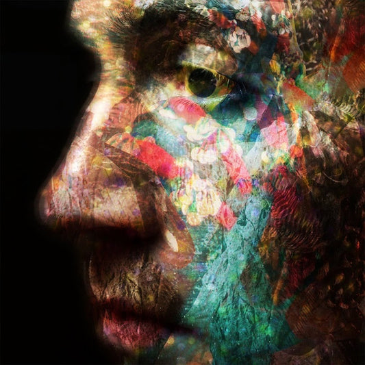 Image of Front Cover of 2xLP - VG+/VG+ - DANIEL O'SULLIVAN, VELD (O Genesis; OGen54, UK 2017, Gatefold), ,  - 1026116E