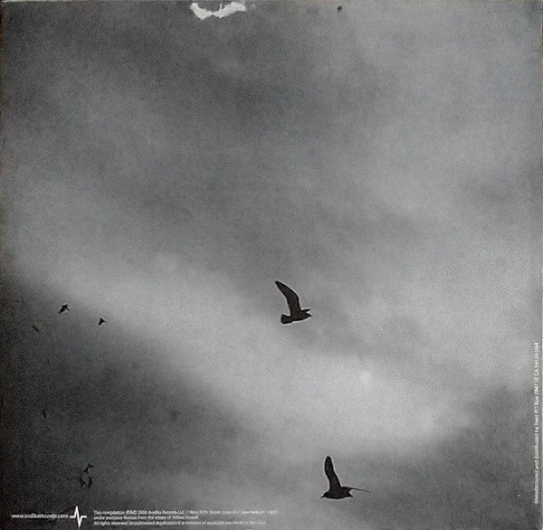 Image of Back Cover of 3xLP - VG/VG+ - ARTHUR RUSSELL, First Thought Best Thought (Audika ; AUD6000, US 2006, Textured Sleeve, 3 Inners), Split Seam,  - 1026279E