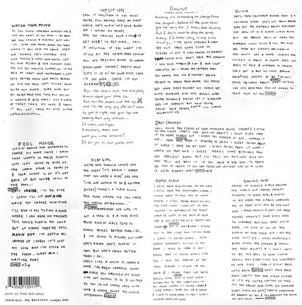 Image of Back Cover of LP - VG+/VG+ - THE BACKSEAT LOVERS, When We Were Friends (The Backseat Lovers; none, US 2019, Limited Translucent Blue / Green), ,  - 1046288S