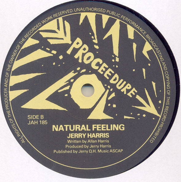 Image of Back Cover of 12" - /VG - JERRY HARRIS, I'm So Glad / Natural Feeling (Proceedure ; JAH 185, US 1980s), ,  - 1126041E