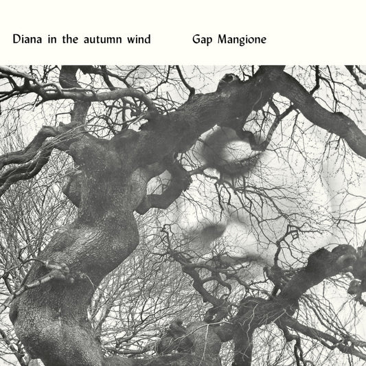 Image of Front Cover of LP - NEW/NEW - GAP MANGIONE, Diana In The Autumn Wind (Be With Records; BEWITH200LP, Europe 2026, Insert), , This is the first ever vinyl reissue of Gap Mangione's Diana In The Autumn Wind, produced with the full and extensive participation of Gap. An exceedingly rare album, it's been coveted by funk, soul, jazz and hip-hop sample fiends for decades. But this record is so much more than a sample-spotters curio. It's solid gold throughout. Bursting with killer funky-jazz grooves and t