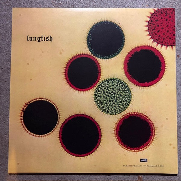 Image of Back Cover of LP - NEW/NEW - LUNGFISH, Artificial Horizon (Dischord Records; DIS115V, Europe 2026 Reissue, Silver Metallic Opaque Vinyl), , Lungfish's sixth full-length LP, released in 1998. - 2156038S
