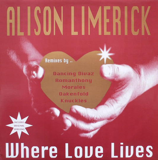 Image of Front Cover of 12" - VG/VG - ALISON LIMERICK, Where Love Lives (BMG Eurodisc Ltd.; 74321 38159 1, Europe 1996, Picture Sleeve), Strong VG, light hairlines only.,  - 1226355E