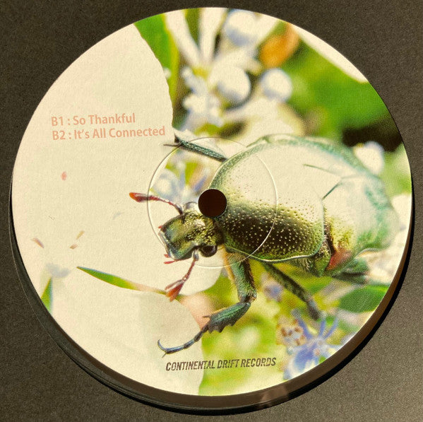 Image of Back Cover of 12" - /VG+ - CONOLEY OSPOVAT, So Thankful (Continental Drift Records; cdrift.019, US 2020), ,  - 1346032S