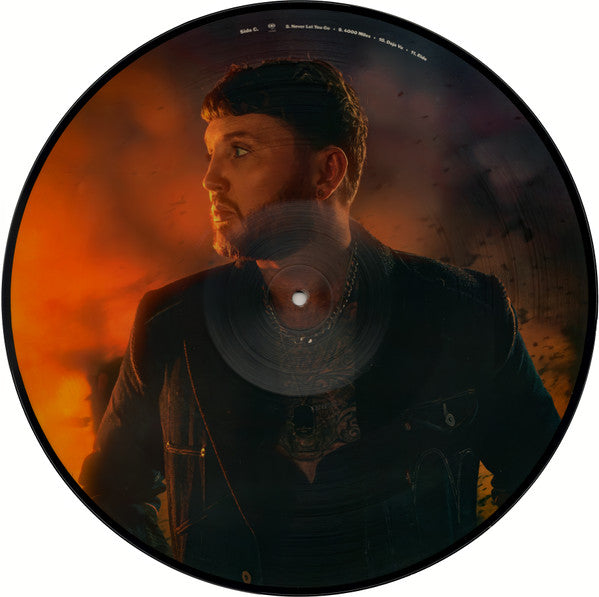 Image of Label Cover of 2xLP - VG+/EX - JAMES ARTHUR, It'll All Make Sense In The End (Columbia; 19439874051, Europe 2021, Clear Plastic Gatefold Sleeve, Insert, Picture Discs), SEALED,  - 1346029S