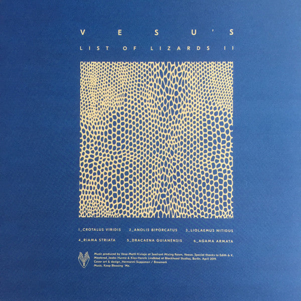Image of Back Cover of LP - VG+/VG+ - VESU'S, List Of Lizards II (Vieno; VIENO-002, Finland 2020), ,  - 1346064S