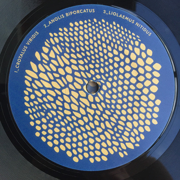Image of Label Cover of LP - VG+/VG+ - VESU'S, List Of Lizards II (Vieno; VIENO-002, Finland 2020), ,  - 1346064S