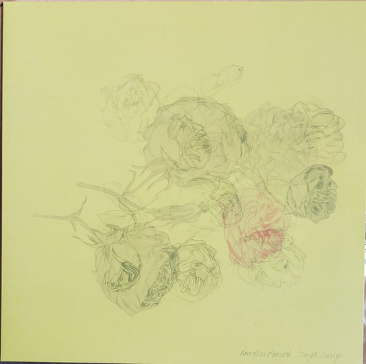 Image of Front Cover of LP - EX/EX - ANNELIES MONSER , I Sigh, I Resign (Horn of Plenty <O; hop 25, UK 2024, Picture Sleeve, Black Card Inner), ,  - 1426082E