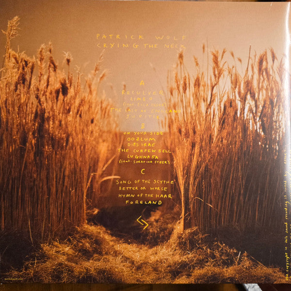 Image of Back Cover of 2xLP - EX/EX - PATRICK WOLF, The Bachelor (Bloody Chamber Music; BCM 2LP, UK 2009, Gatefold In Outer Plastic Sleeve With Hype Sticker, Clear and Yellow, Clear and Brown Radiation Pattern Vinyl), ,  - 1326314E