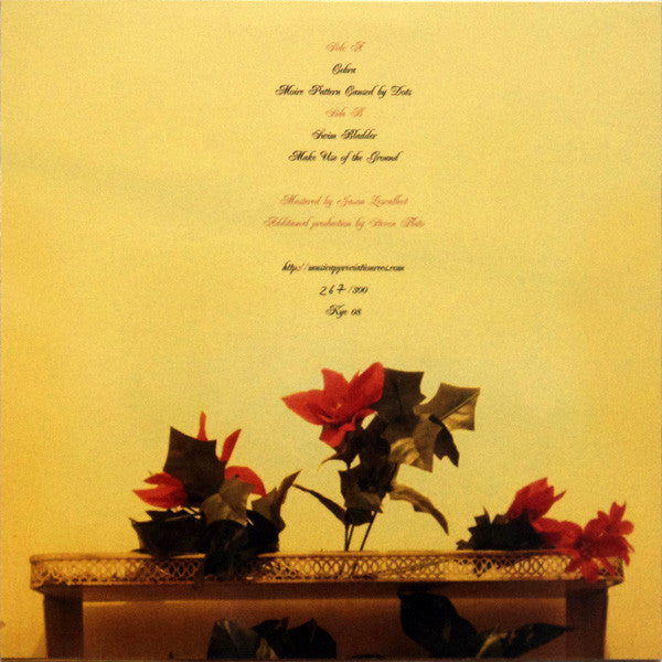 Image of Back Cover of LP - EX/EX - VANESSA ROSSETTO, Mineral Orange (Kye; Kye 08, US 2010), ,  - 1326325E