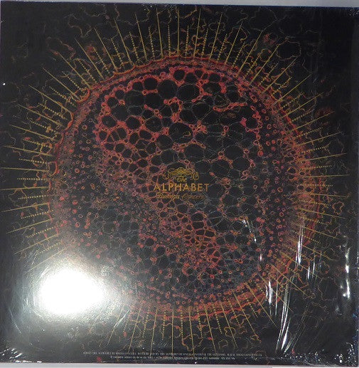 Image of Back Cover of 2xLP - NEW/NEW - CARDIACS, LSD (The Alphabet Business Concern; ALPHLP033, UK 2025, Slipcase, Deluxe Edition. Black Vinyl), ,  - 1336247E