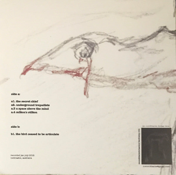 Image of Back Cover of LP - VG+/VG+ - SUBURBAN CRACKED COLLECTIVE, Private Failings (No Confidante Dictae Recs.; NCD001, Australia 2019, Picture Sleeve), ,  - 1326427E