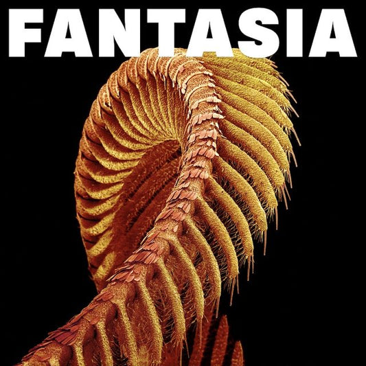 Image of Front Cover of 2xLP - NEW/NEW - SLIFT, Fantasia (Sub Pop; SP1725X, Europe 2026, 2 Inners, Loser Edition Sparkle Starlight Vinyl, Etched 4th Side), , In the technical sense, every previous album by the radiant and heavy French trio SLIFT has been a fantasia a composite of genres and forms that allowed the band to improvise, to jam on themes until they seemed to spiral together into space. Their acclaimed third album, 2024 s Ilion, was a sci-fi story built with 10- to 13-minute exploratory escapades,