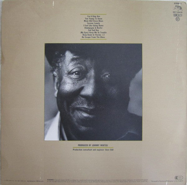 Image of Back Cover of LP - VG+/VG+ - MUDDY WATERS, King Bee (Blue Sky; SKY 84918, UK 1981, Glossy Sleeve, No Insert), Very clean copy but sadly no insert.,  - 1416018C