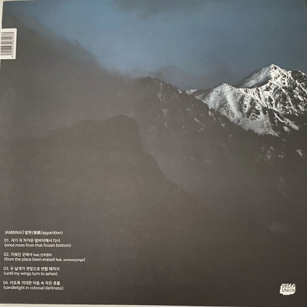 Image of Back Cover of LP - VG+/VG+ - JAMBINAI, Apparition (Bella Union; BELLA1394V, UK 2022), Opened Instore,  - 1446026S