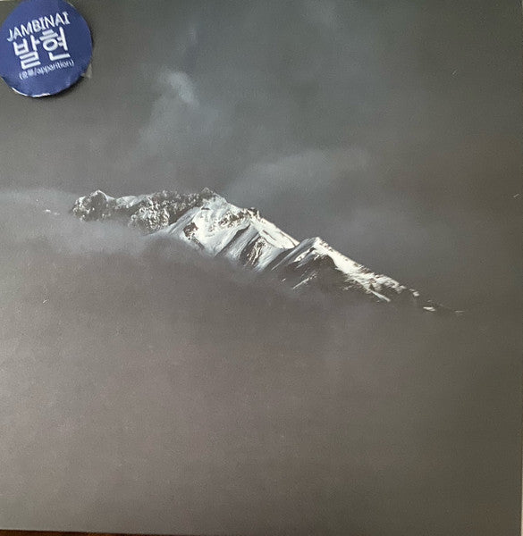 Image of Front Cover of LP - VG+/VG+ - JAMBINAI, Apparition (Bella Union; BELLA1394V, UK 2022), Opened Instore,  - 1446026S