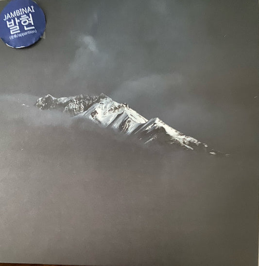 Image of Front Cover of LP - VG+/VG+ - JAMBINAI, Apparition (Bella Union; BELLA1394V, UK 2022), Opened Instore,  - 1446026S