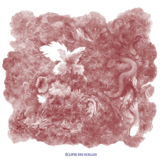 Image of Front Cover of LP - EX/EX - ROXANE M TAYER,  clipse Des Ocelles (Morc Records ; Morc 83, Belgium 2021, Stamped White Labels, No Label Catalogue), ,  - 1326452E