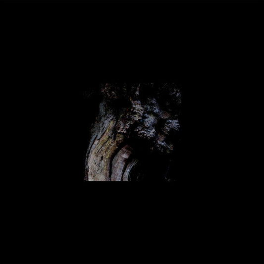Image of Front Cover of LP - EX/EX - BRUNNEN, The Garden Of Perpetual Dreams (A Colourful Storm ; ACOLOUR012, Australia 2019, Pasted Print On Plain Black Sleeve), ,  - 1426203E
