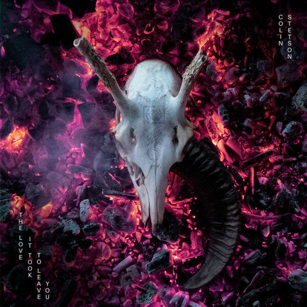 Image of Front Cover of 2xLP - NEW/NEW - COLIN STETSON, The Love It Took To Leave You (Invada Records UK; INV317LP, UK 2024, Gatefold, Black Vinyl), ,  - 1336452E