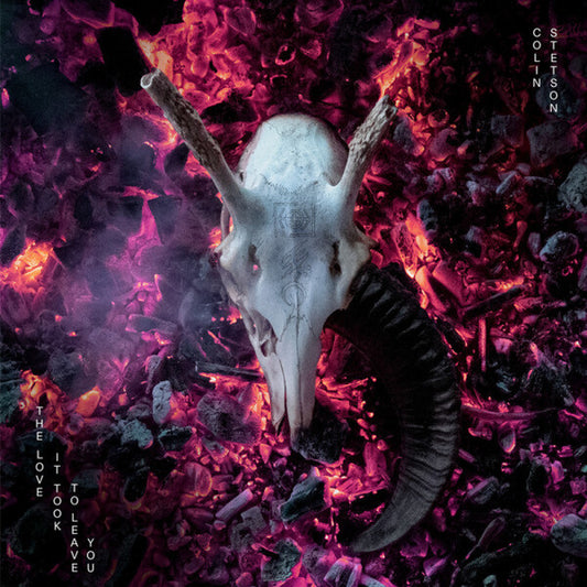Image of Front Cover of 2xLP - NEW/NEW - COLIN STETSON, The Love It Took To Leave You (Invada Records UK; INV317LP, UK 2024, Gatefold, Black Vinyl), ,  - 1336452E