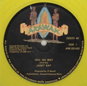 Image of Front Cover of 12" - /VG+ - JANET KAY, Feel No Way (Arawak; ARK DD 33, UK 1980, Plain Sleeve, Yellow Vinyl), ,  - 1416418C
