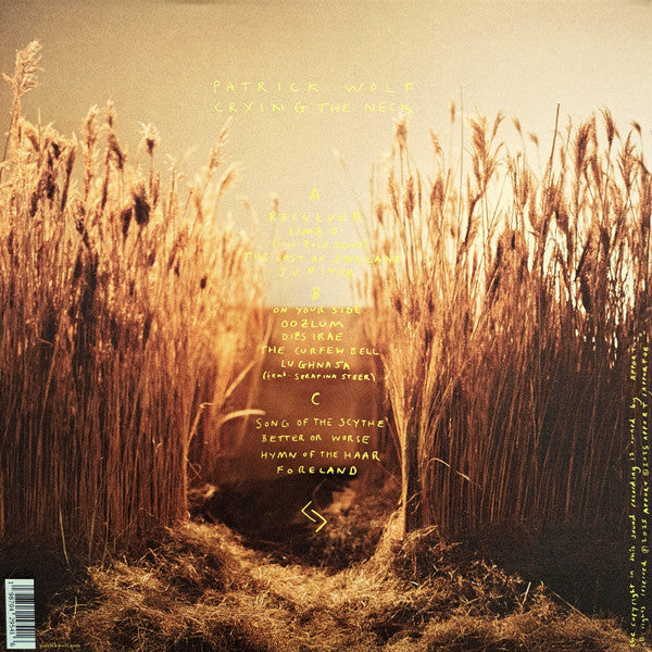 Image of Back Cover of LP - EX/EX - PATRICK WOLF, Crying The Neck (Apport; APPORTLP06,  2025, Gatefold, 2 Inners, Yellow & Brown Vinyl), Still in hype stickered plastic outer.,  - 1446283S