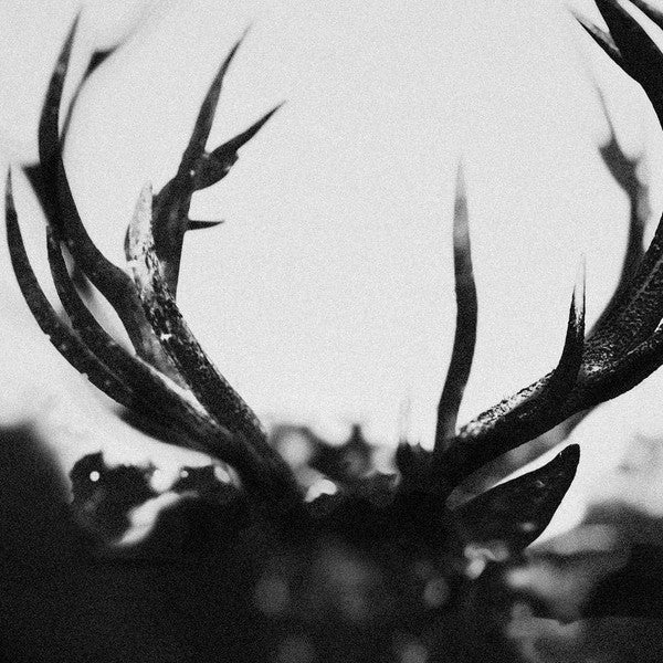 Image of Front Cover of 2xLP - EX/EX - IHSAHN, Ihsahn (Orchestral) (Candlelight Records; CNDL800239P, Europe 2024), ,  - 1546137S