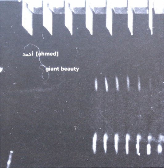 Image of Front Cover of 5xCD - EX/EX - AHMED, Giant Beauty (F nstret; 9-13, Sweden 2024, Box Set, Booklet & Inners, White pull ribbon. Limited Edition of 515 copies.), Nice copy showing minimal sign of use.,  - 1536072E