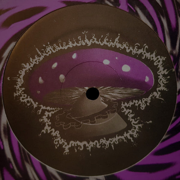 Image of Back Cover of 12" - VG/VG - DISINTEGRATOR, Trans-Dimensional (IST Records; IST009, US 1995, Die Cut Sleeve), Plenty of surface marks but only lgiht hairlines. Plays with minimal surface crackle,  - 1526323E