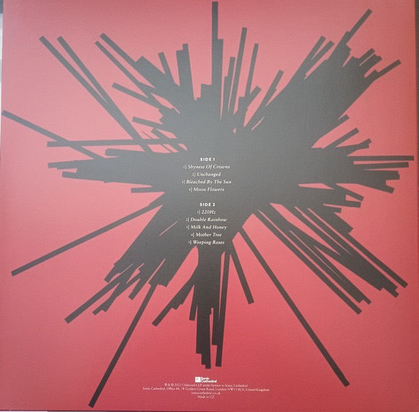 Image of Back Cover of LP - EX/EX - DOT ALLISON, Subconsciousology (Lomond Campbell Remixes) (Sonic Cathedral; SCR335LP, UK 2025, Inner, Pollination Splatter Vinyl), Very slight warp, does not effect play.,  - 1616044C