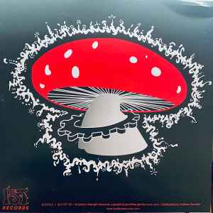 Image of Back Cover of 12" - VG+/VG+ - ZENITH, The Flowers Of Intelligence (IST Records; IST017 RP, US 2023 Reissue, Die Cut Company Sleeve), ,  - 1646054S