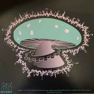 Image of Back Cover of 12" - VG+/VG+ - ZENITH, A Journey Into My Hallucination (IST Records; IST020 RP, US 2023 Reissue), ,  - 1646056S