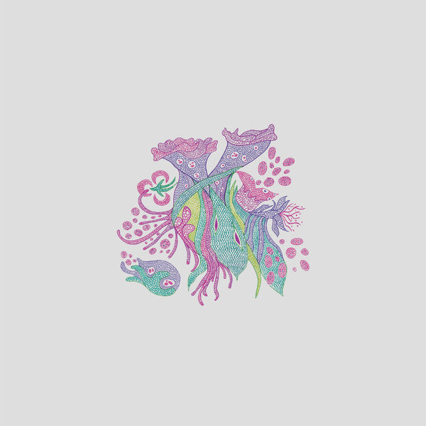 Image of Front Cover of LP - VG+/VG+ - LAURA AGNUSDEI, Laurisilva (The Wormhole; WHO#17, UK 2019, Picture Sleeve), ,  - 1626016E