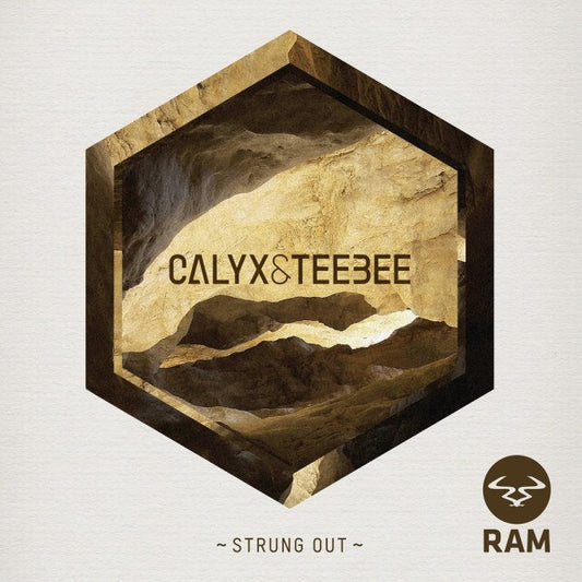 Image of Front Cover of 12" - VG+/VG+ - CALYX & TEEBEE, Strung Out (RAM Records; RAMM145, UK 2013, Picture Sleeve), small corner ding bottom right,  - 1746137S