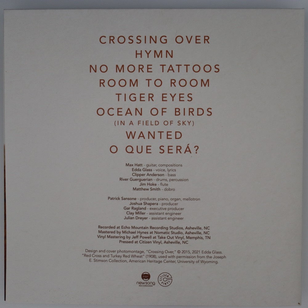 Image of Back Cover of LP - EX/EX - MAX HATT / EDDA GLASS, Ocean Of Birds (NewSong Recordings ; none, US 2016, Gatefold, Insert, Yellow/Black Splatter Vinyl, Comes With Vinyl Key Card), ,  - 1726226E